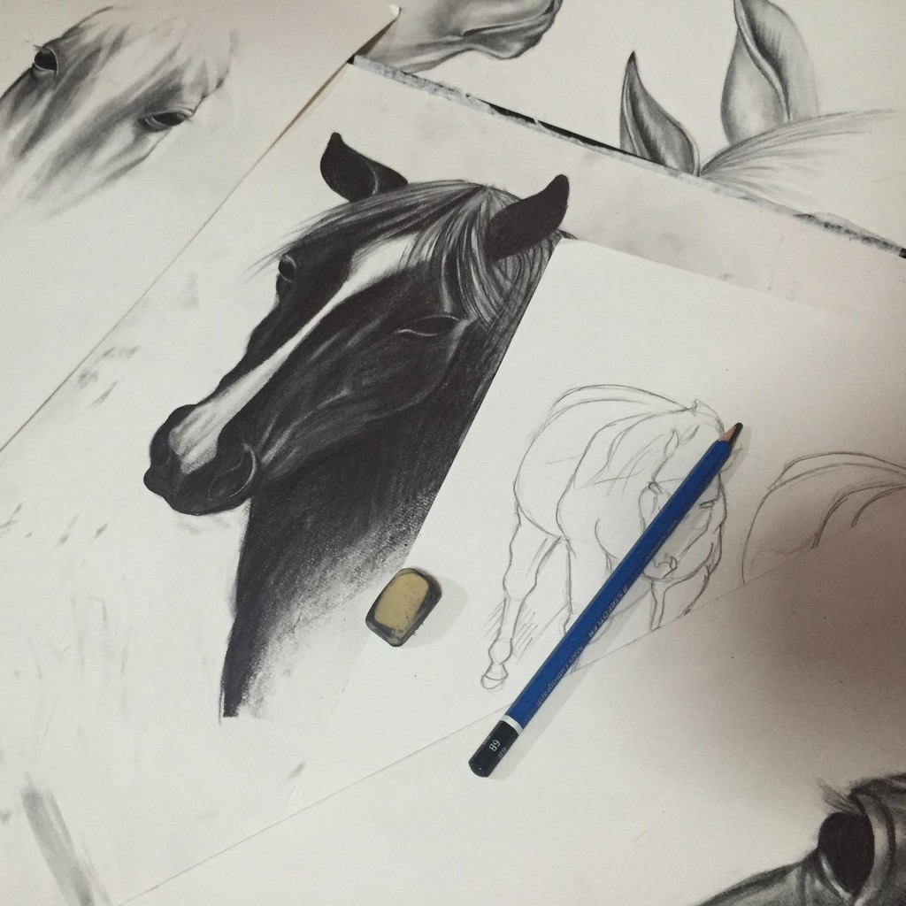 Horse Sketches